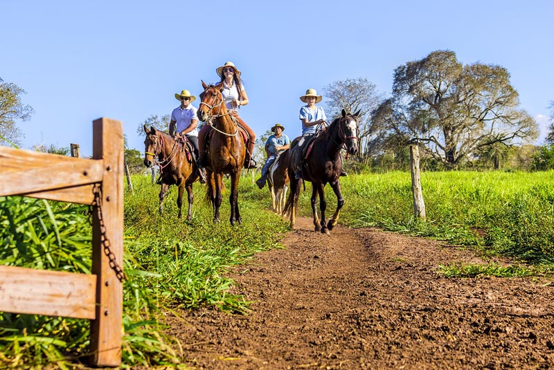 Cavalgada no Parque Ecológico Rio Formoso | Natureza Tour | Bonito e Pantanal